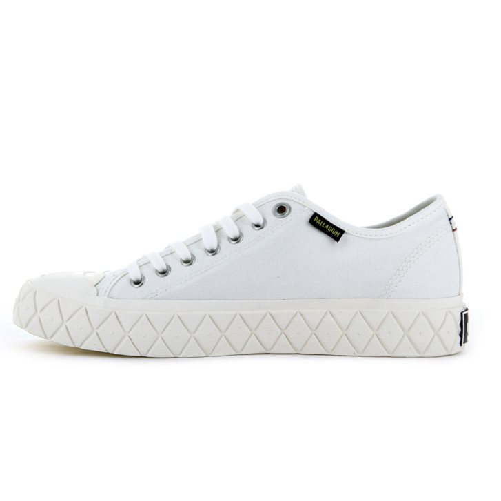 Pánské Tenisky Palladium Palla Ace Platene Low Tops Bílé | CZ KHY-94P